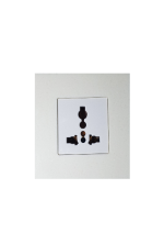 TIS-TER-COV2G-BeS ( )