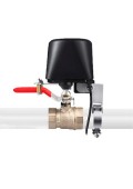 TIS-BEE-VALVE (    / )
